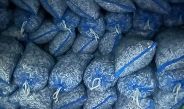 Alabama Fishing Vessel Caught with Expired Permit and 45,000 Pounds of Shrimp