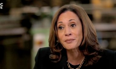 MSNBC Pundit Who Interviewed Harris Says It’s ‘Okay’ VP Didn’t Give ‘Clear’ Answers