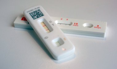 How to Easily Order Free COVID-19 Tests for Your Household