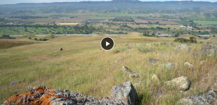 Photo contest helps focus planning at South Bay's Coyote Valley Open Space