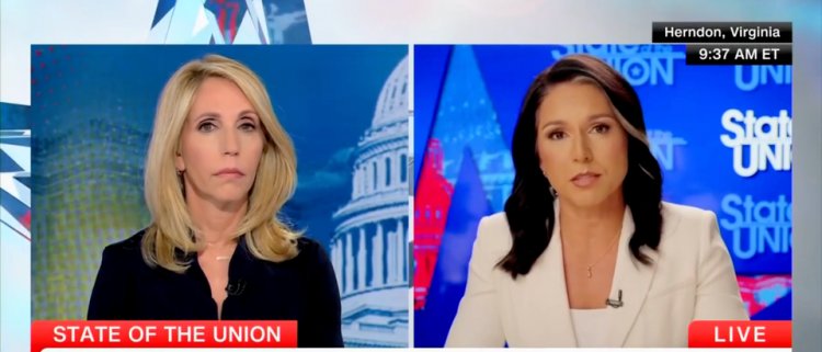 ‘Has Not Made Any Effort’: Gabbard Calls Out Harris For Skipping Arlington, Says Trump Team Was ‘Approved’ To Cover