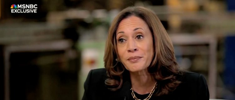 MSNBC Pundit Who Interviewed Harris Says It’s ‘Okay’ VP Didn’t Give ‘Clear’ Answers