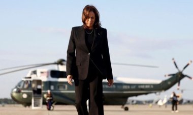 NY Times Poll Reveals Harris' Support Among Crucial Voter Group at Alarmingly Low Levels