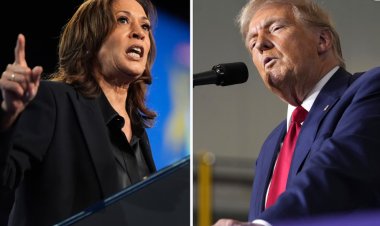 Harris vs. Trump latest presidential poll: Who is ahead? New numbers show a tight race