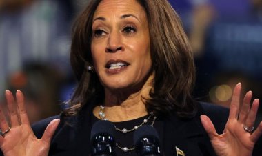 Kamala Harris Promises to Support Americans Entering the Cannabis Industry After Overseeing Nearly 2,000 Marijuana Convictions