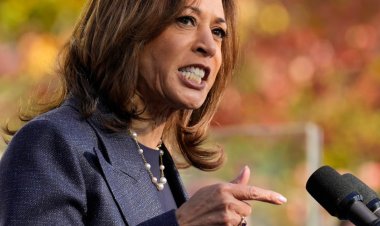 Fox News anchor Bret Baier: Kamala Harris ‘wanted to have a go-after-Donald Trump viral moment’