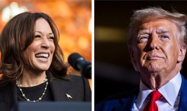 How Harris, Trump stand on issues in presidential race: Abortion, immigration and more