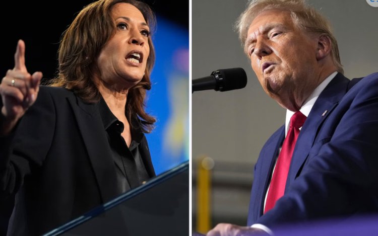 Harris vs. Trump latest presidential poll: Who is ahead? New numbers show a tight race