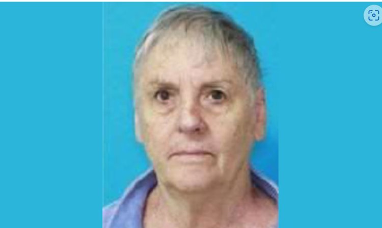 Missing and endangered person alert issued for 84-year-old woman who disappeared in Gulf Shores