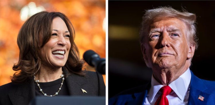 How Harris, Trump stand on issues in presidential race: Abortion, immigration and more