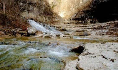 Alabama’s Environmental Champions: Local Efforts to Protect Nature