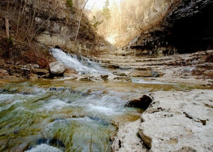 Alabama’s Environmental Champions: Local Efforts to Protect Nature