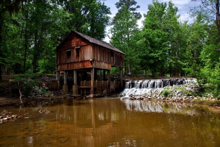 Hidden Gems of Alabama: Off-the-Beaten-Path Destinations for Adventure Seekers