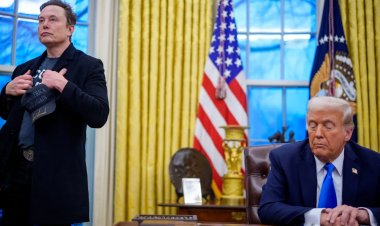 Elon Musk’s Role in DOGE: Is He in Charge? A Top Trump Advisor Responds