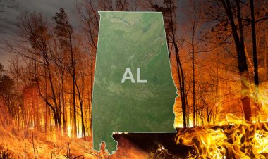 Alabama Battles Most Active Wildfire Season in Five Years