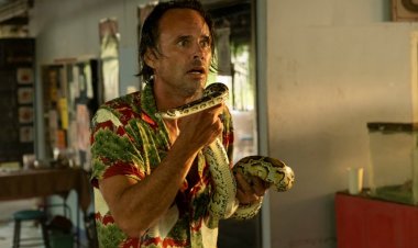 " I exclaimed. "Oh my God! “Walton Goggins' Depressing Experience: Stung by a Snake During "The White Lotus"