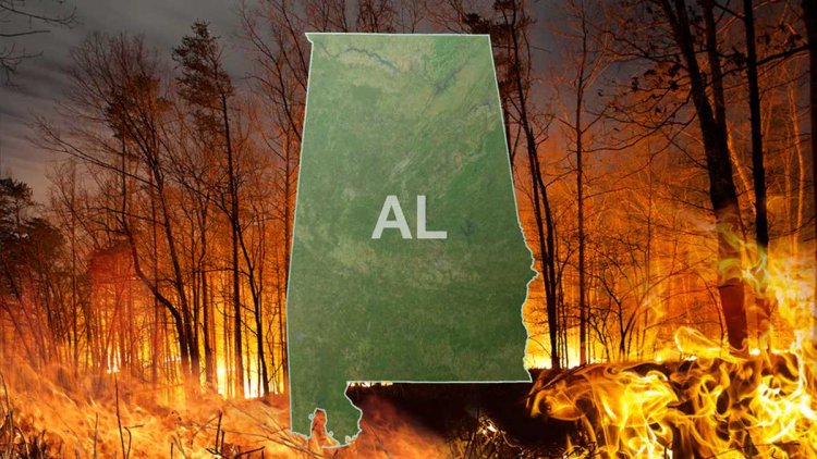 Alabama Battles Most Active Wildfire Season in Five Years