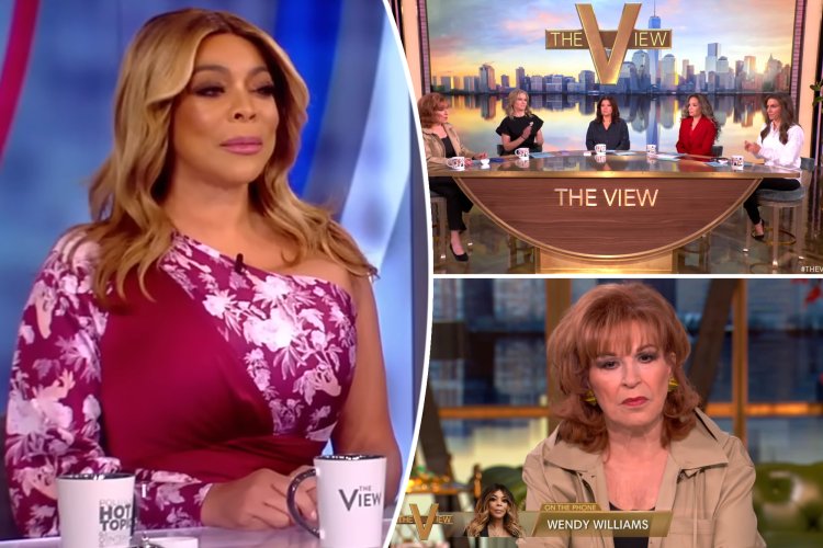 Wendy Williams Demands a New Guardian on "The View"