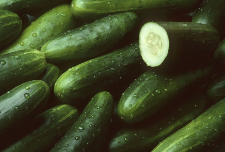 What Alabama Consumers Should Know About the Cucumber Recall Associated with the Salmonella Outbreak