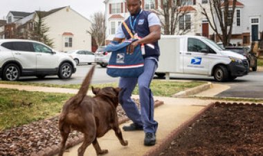 In 2024, Birmingham was one of the worst cities in the US for dog attacks on postal workers.