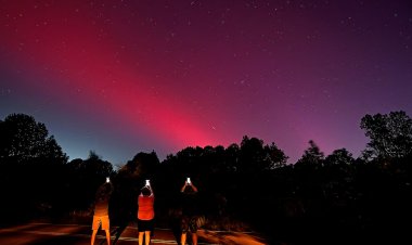 Will Tonight's Northern Lights Be Seen in Alabama? What the Forecast Indicates