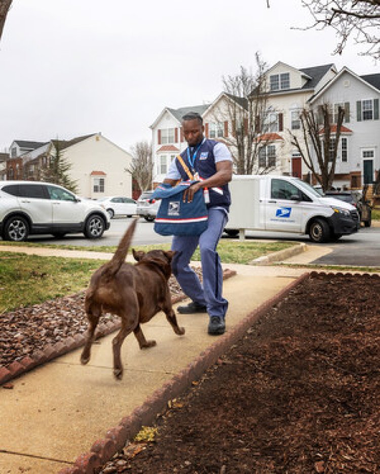 In 2024, Birmingham was one of the worst cities in the US for dog attacks on postal workers.