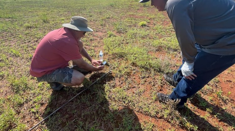 Georgia Meteorite Madness: When Fire from the Sky Starts a Human Treasure Hunt